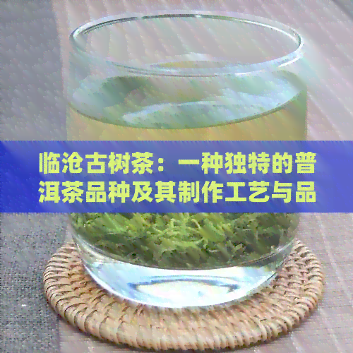 临沧古树茶：一种独特的普洱茶品种及其制作工艺与品鉴方法详解