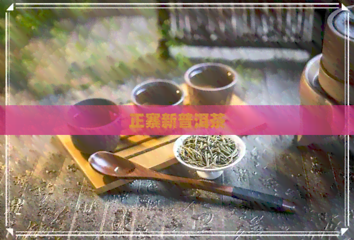 正寨新普洱茶