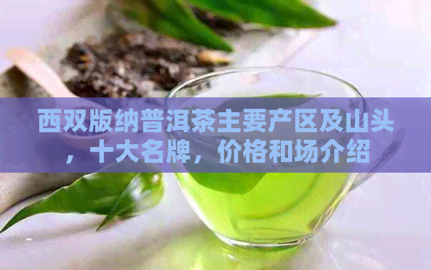 西双版纳普洱茶主要产区及山头，十大名牌，价格和场介绍