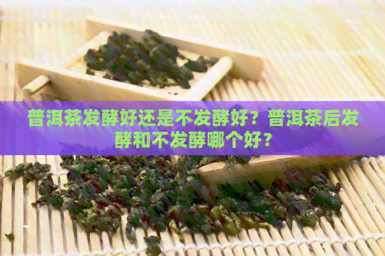 普洱茶发酵好还是不发酵好？普洱茶后发酵和不发酵哪个好？