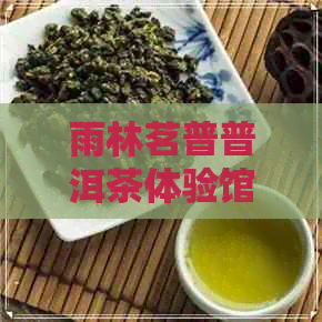 雨林茗普普洱茶体验馆团购