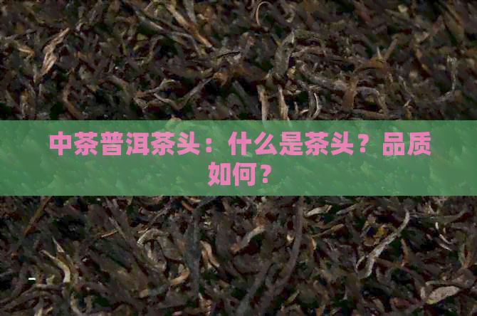 中茶普洱茶头：什么是茶头？品质如何？