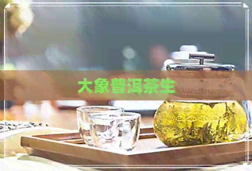 大象普洱茶生