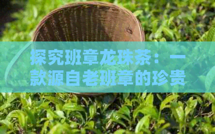 探究班章龙珠茶：一款源自老班章的珍贵茶叶品种及其独特口感与功效