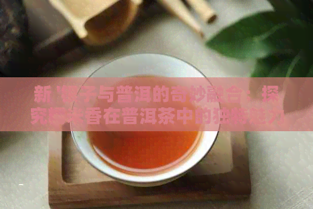 新 '银子与普洱的奇妙融合：探究糯米香在普洱茶中的独特魅力'