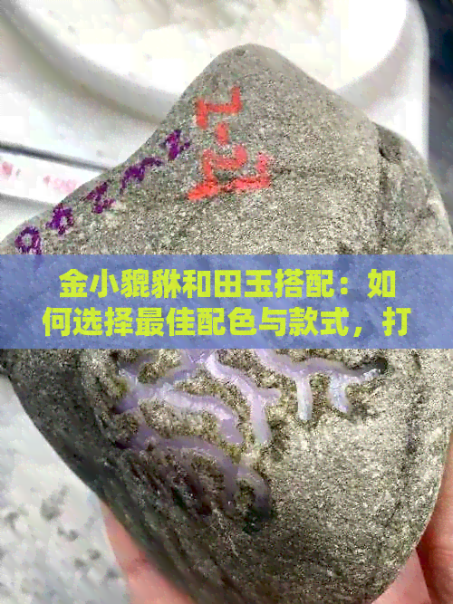 金小貔貅和田玉搭配：如何选择更佳配色与款式，打造独特韵味？