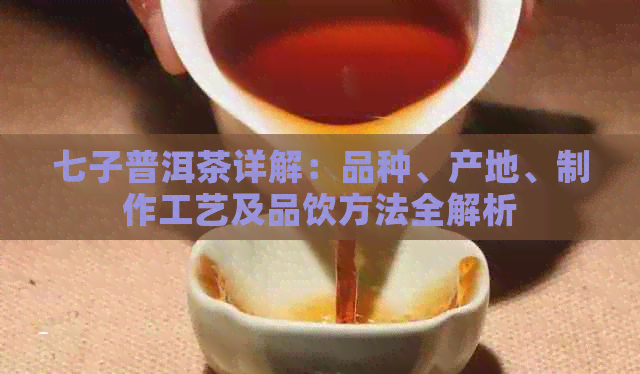 七子普洱茶详解：品种、产地、制作工艺及品饮方法全解析