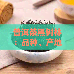 普洱茶黑树林：品种、产地、品质与泡法的全面解析