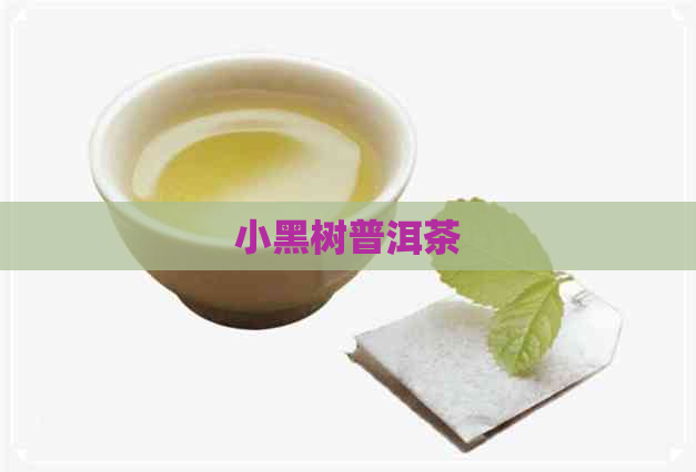 小黑树普洱茶