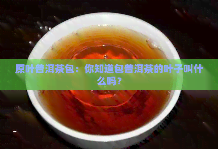 原叶普洱茶包：你知道包普洱茶的叶子叫什么吗？