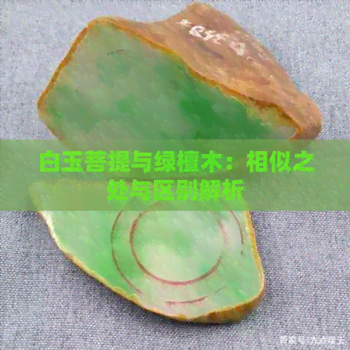 白玉菩提与绿檀木：相似之处与区别解析