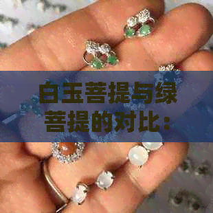 白玉菩提与绿菩提的对比：哪种更值得收藏？