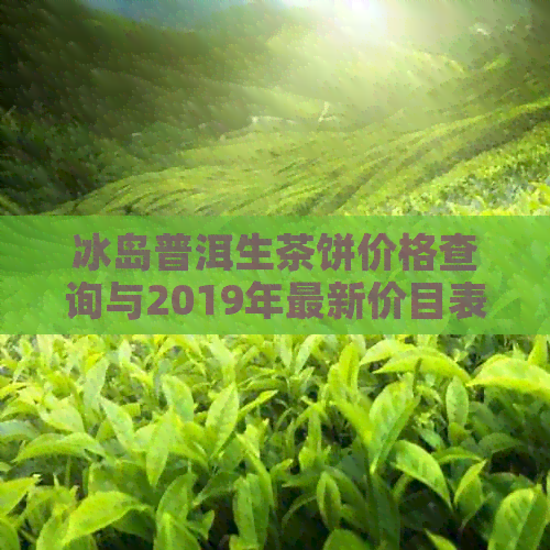 冰岛普洱生茶饼价格查询与2019年最新价目表