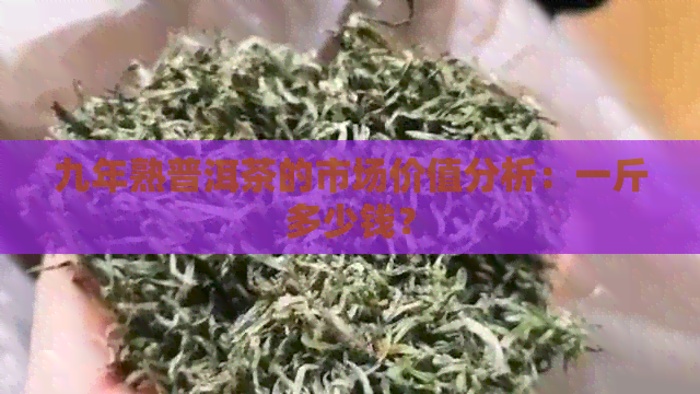 九年熟普洱茶的市场价值分析：一斤多少钱？