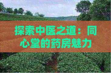 探索中医之道：同心堂的药房魅力与医疗服务体验