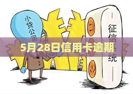 5月28日信用卡逾期