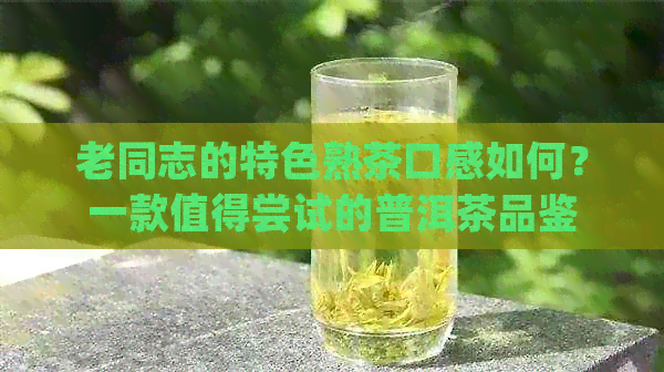 老同志的特色熟茶口感如何？一款值得尝试的普洱茶品鉴