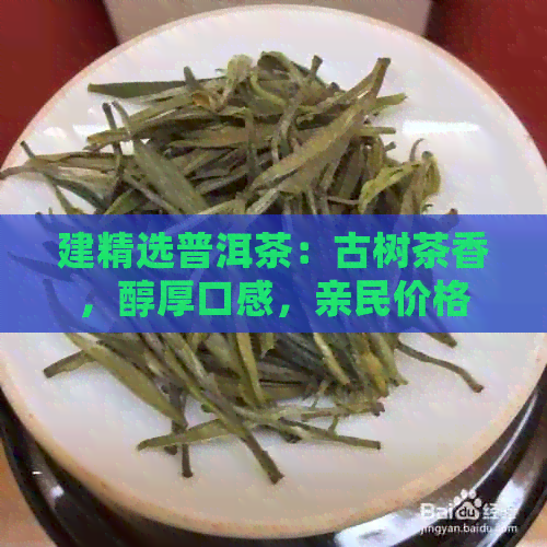 建精选普洱茶：古树茶香，醇厚口感，亲民价格