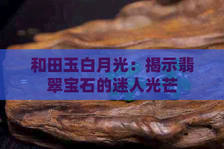 和田玉白月光：揭示翡翠宝石的迷人光芒