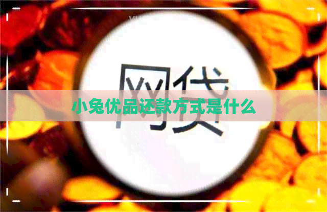 小兔优品还款方式是什么