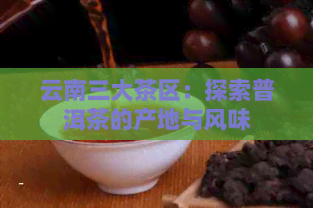 云南三大茶区：探索普洱茶的产地与风味