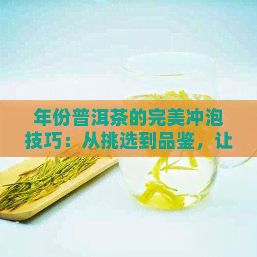 年份普洱茶的完美冲泡技巧：从挑选到品鉴，让你喝出陈年普洱的醇厚口感