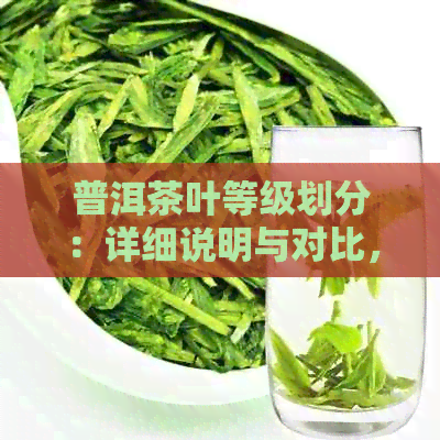 普洱茶叶等级划分：详细说明与对比，助您轻松选购高品质茶叶