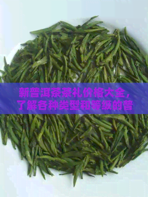 新普洱茶茶礼价格大全，了解各种类型和等级的普洱茶价格区间