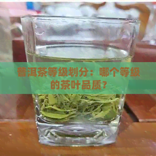 普洱茶等级划分：哪个等级的茶叶品质？