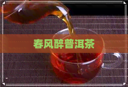 春风醉普洱茶