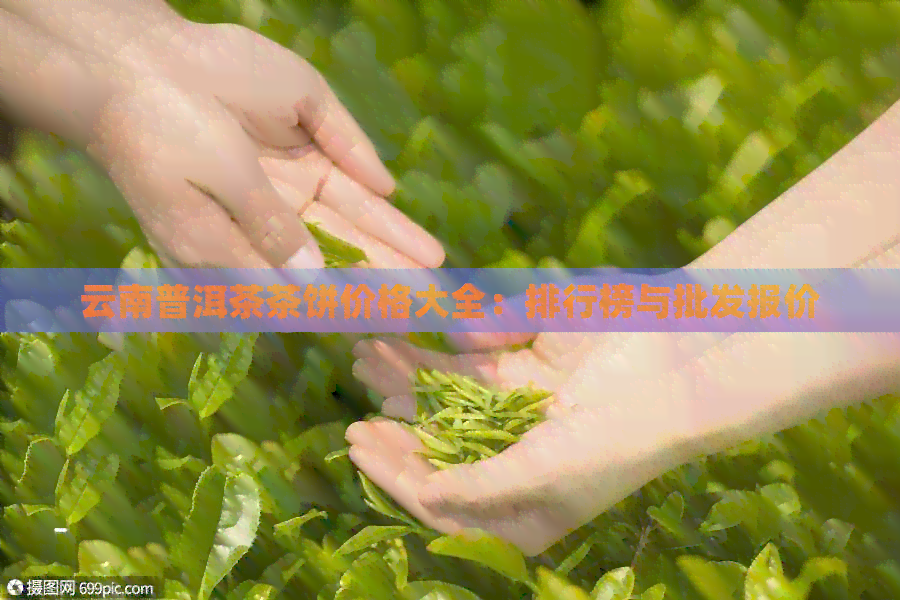 云南普洱茶茶饼价格大全：排行榜与批发报价