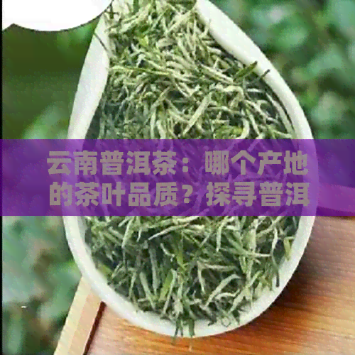 云南普洱茶：哪个产地的茶叶品质？探寻普洱茶的黄金产区