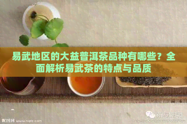 易武地区的大益普洱茶品种有哪些？全面解析易武茶的特点与品质