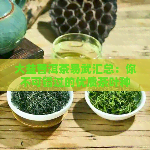 大益普洱茶易武汇总：你不可错过的优质茶叶种类