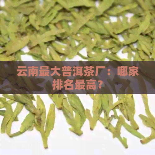 云南更大普洱茶厂：哪家排名更高？