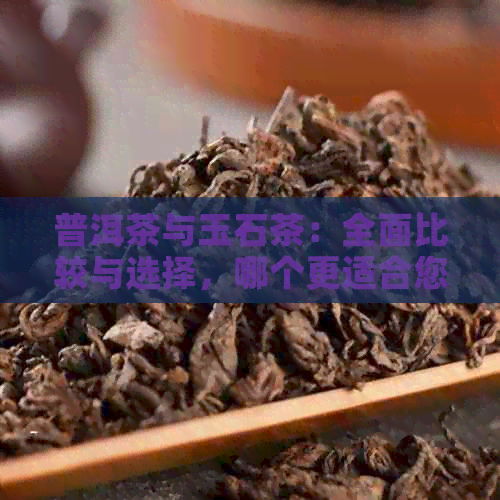 普洱茶与玉石茶：全面比较与选择，哪个更适合您？