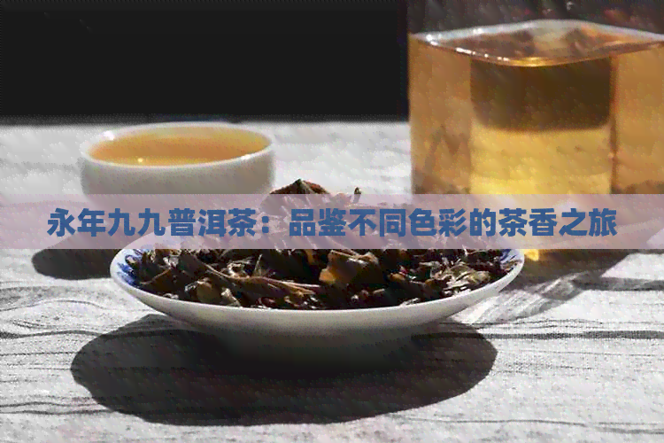 永年九九普洱茶：品鉴不同色彩的茶香之旅