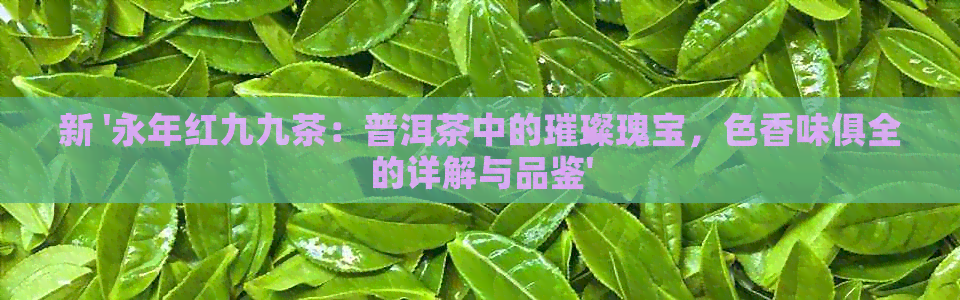 新 '永年红九九茶：普洱茶中的璀璨瑰宝，色香味俱全的详解与品鉴'