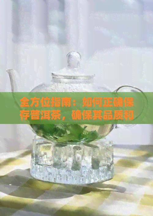 全方位指南：如何正确保存普洱茶，确保其品质和口感不受影响