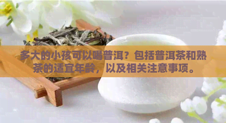 多大的小孩可以喝普洱？包括普洱茶和熟茶的适宜年龄，以及相关注意事项。