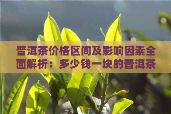 普洱茶价格区间及影响因素全面解析：多少钱一块的普洱茶更值得购买？