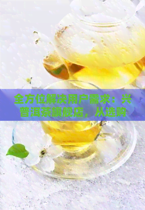 全方位解决用户需求：兴普洱茶旗舰店，从选购到品鉴，一站式指导与体验