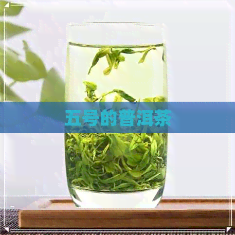 五号的普洱茶