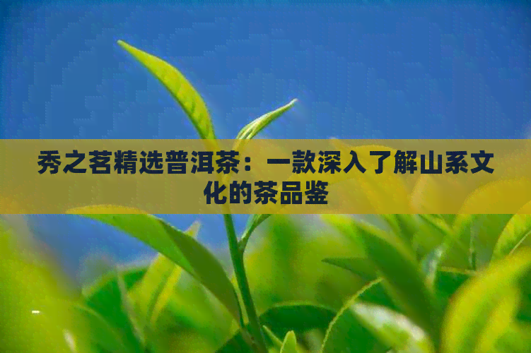 秀之茗精选普洱茶：一款深入了解山系文化的茶品鉴