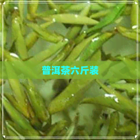 普洱茶六斤装