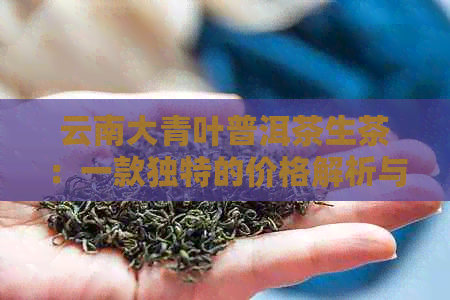 云南大青叶普洱茶生茶：一款独特的价格解析与功效探讨