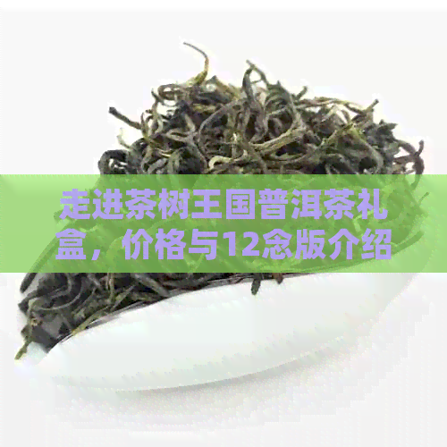 走进茶树王国普洱茶礼盒，价格与12念版介绍，探索茶树王的神秘基地