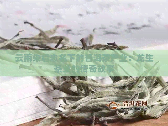 云南朱启忠名下的普洱茶产业：龙生茶业的传奇故事