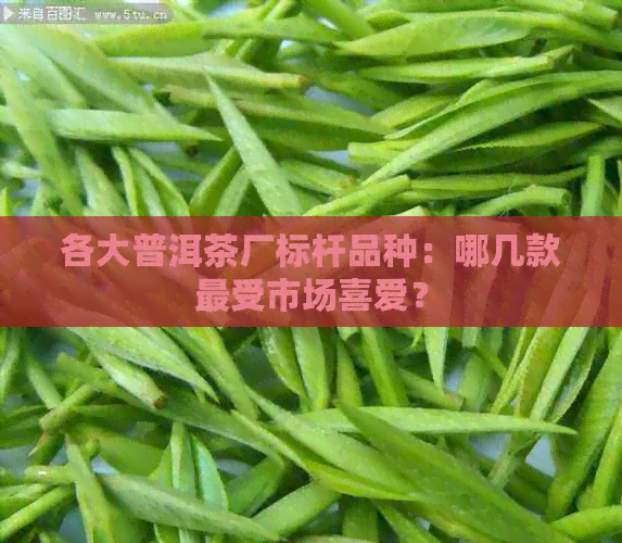 各大普洱茶厂标杆品种：哪几款最受市场喜爱？