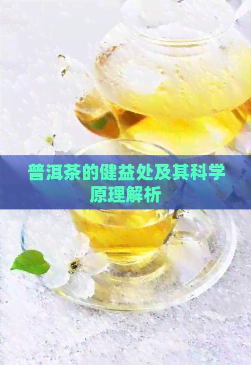 普洱茶的健益处及其科学原理解析